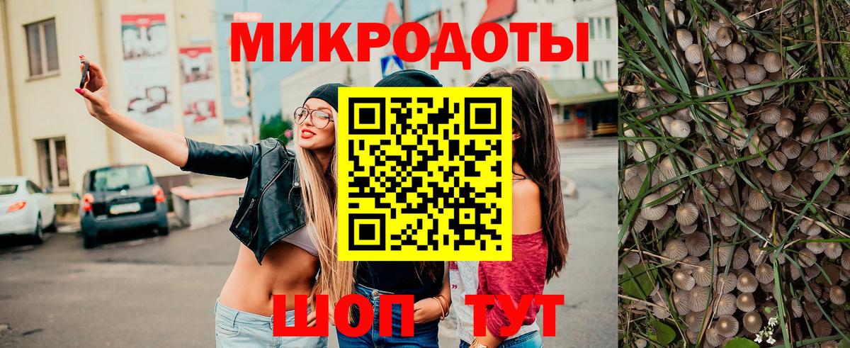 Псилоцибиновые грибы прущие грибы Гулькевичи