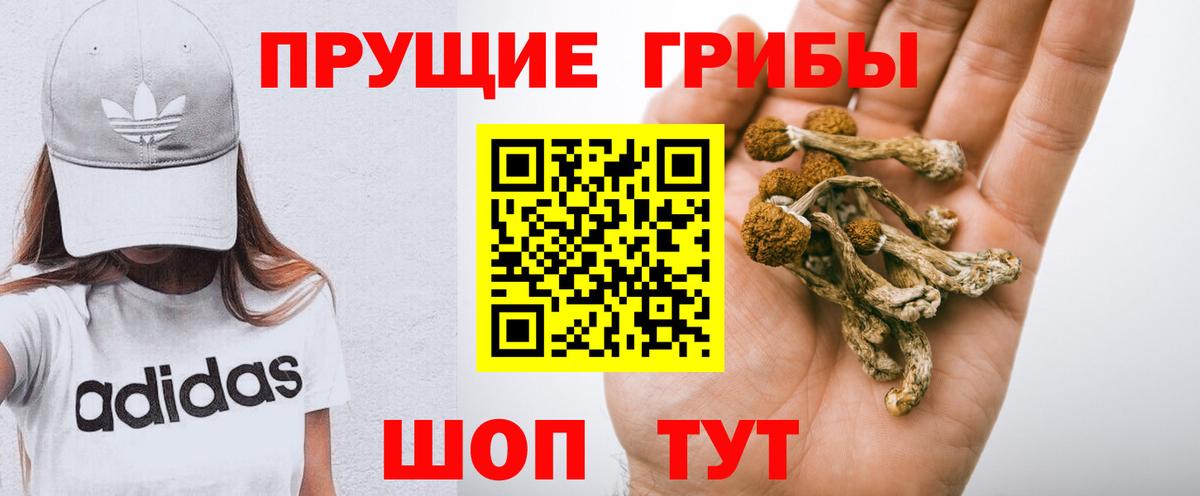 Гулькевичи  Псилоцибиновые грибы Psilocybe  Вход с VPN 